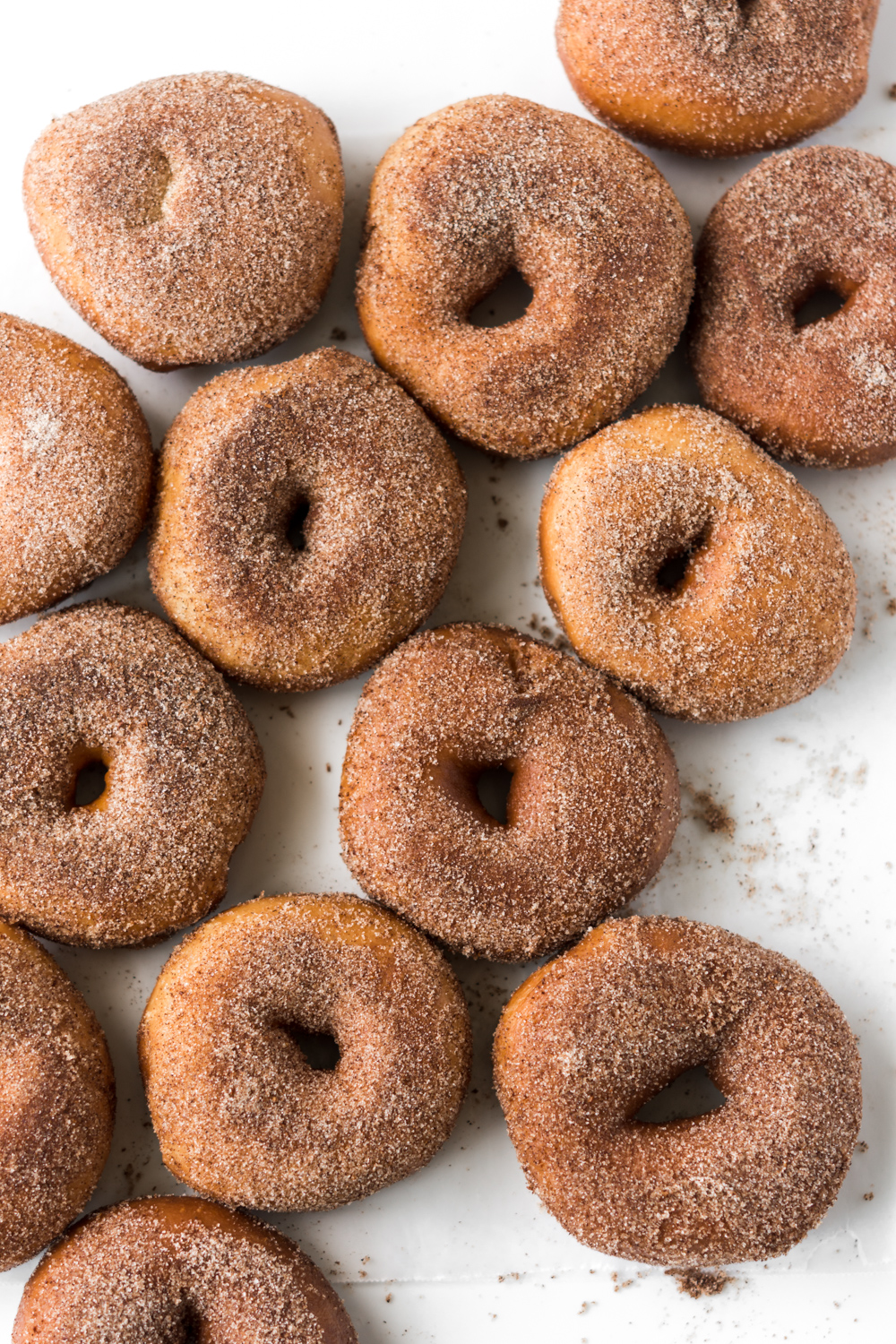 fried cinnamon sugar donuts | With Spice