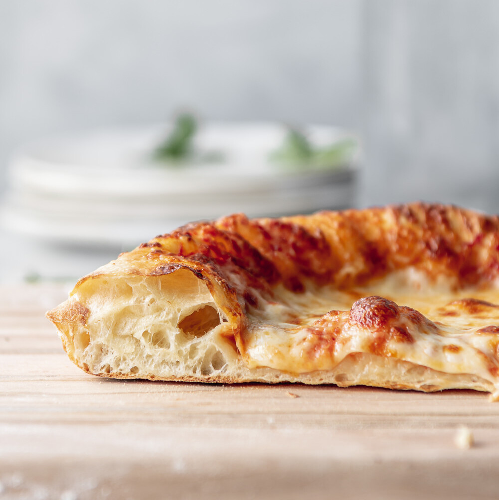 artisan pizza dough- crispy, chewy, bubbly crust