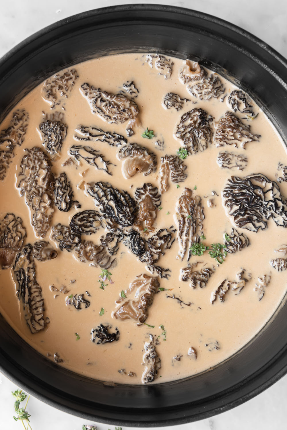 morel pasta with cream, parmesan and thyme With Spice