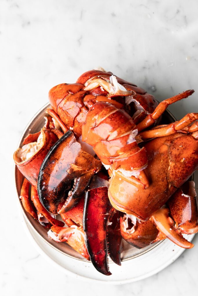 Lobster stock- A great base for sauces and soups – Cooking with