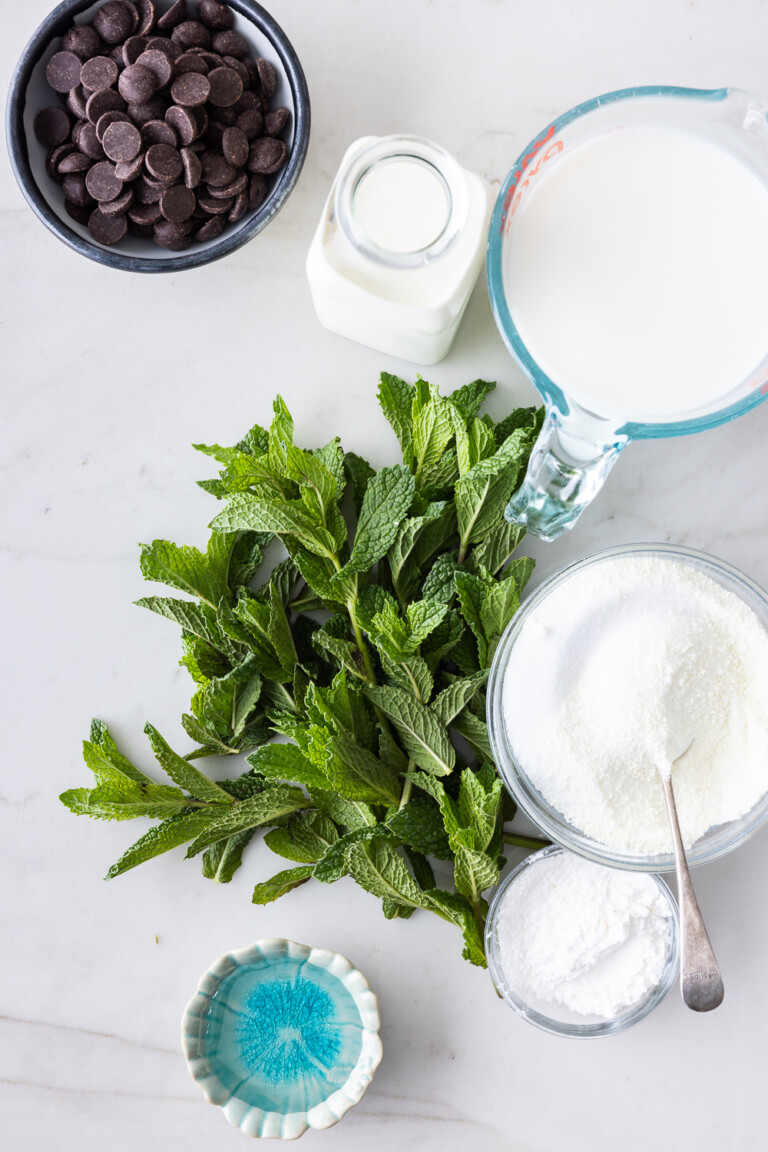 fresh mint chocolate chip ice cream | With Spice