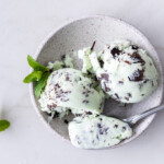 the best mint chocolate chip ice cream recipe