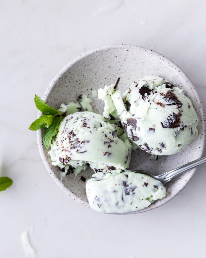 the best mint chocolate chip ice cream recipe