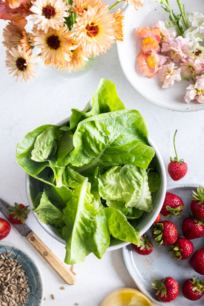 ingredients_lettuce, strawberries, sunflower seeds, edible flowers,goat cheese balls, herbs