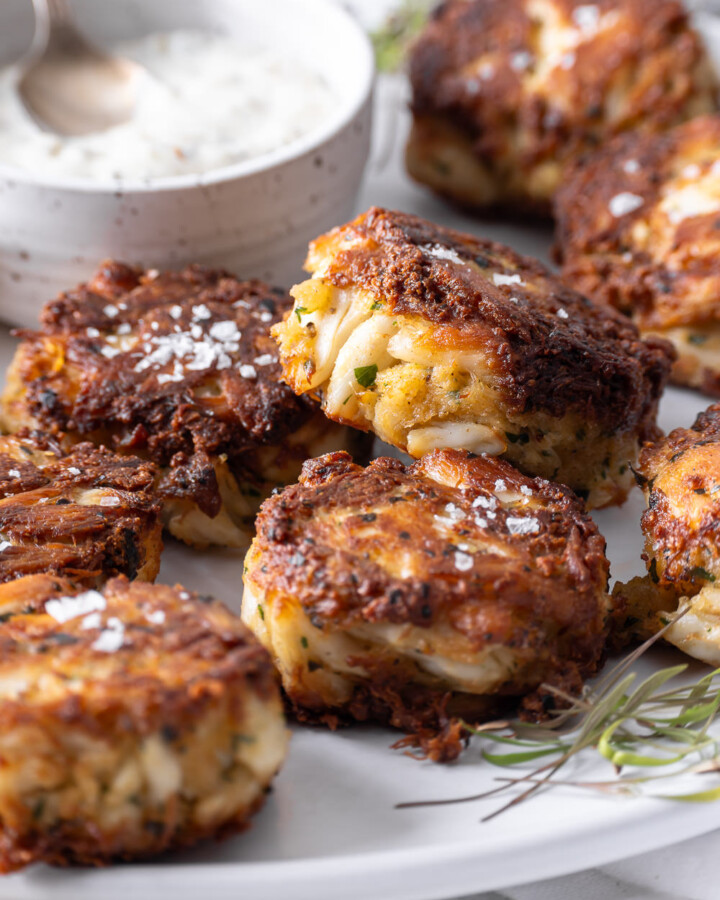 maryland style crab cakes